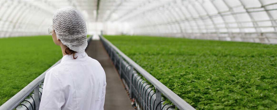 Agricultural Sciences